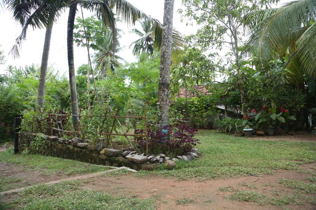 Rainbow Guest House Mirissa Rum bild